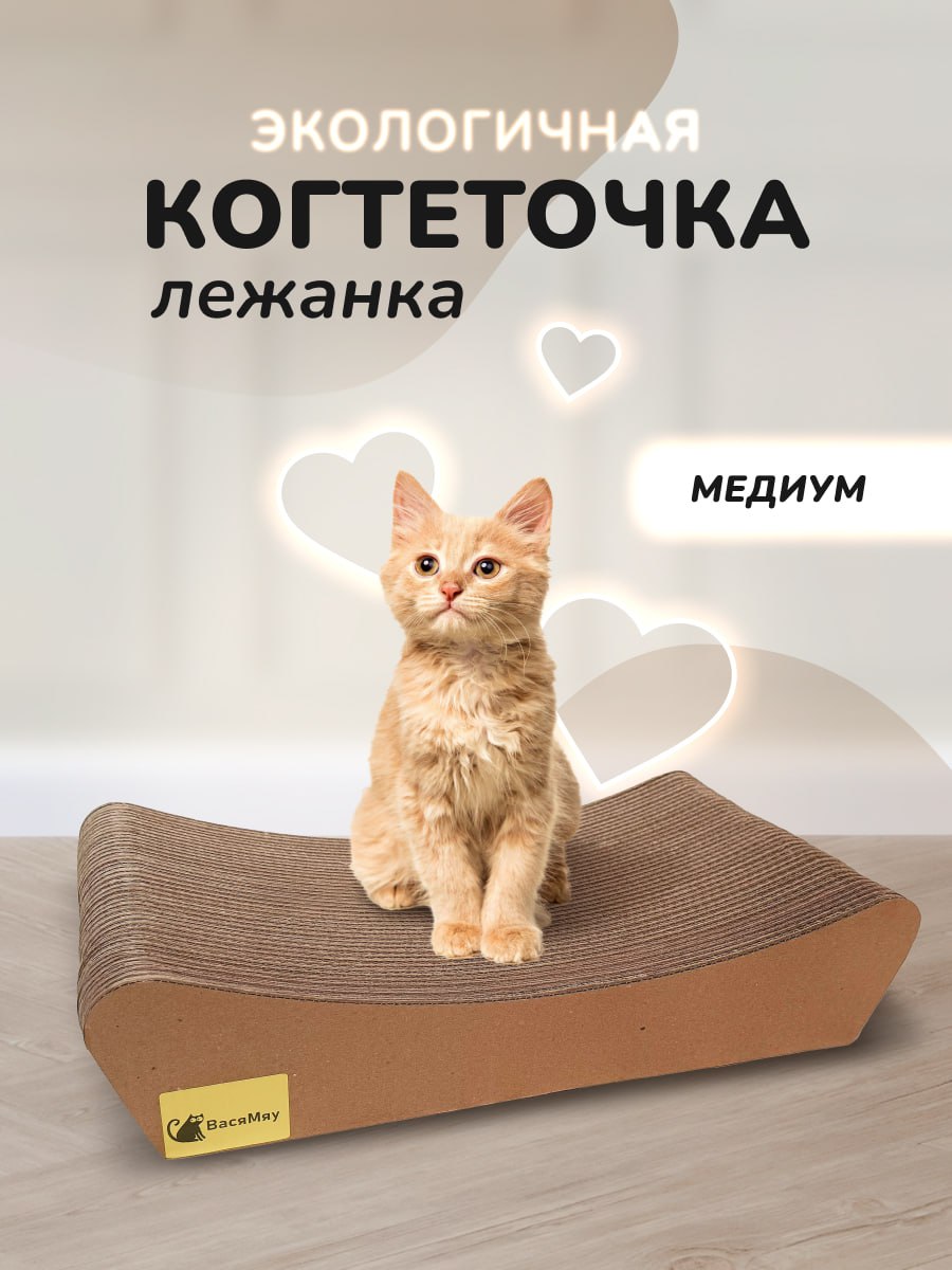 Kогтеточкa
